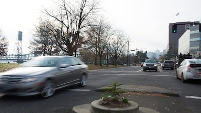 Mill Ends Park in Portland, Oregon, is listed as the world's smallest park by Guinness World Records. Courtesy Travel Portland