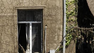 The body of a bear lies at a flooded area. Ms Sharashidze said 20 wolves, eight lions and an unspecified number of tigers, jackals and jaguars had been shot dead by special forces or were missing. Shakh Aivazov/ AP Photo