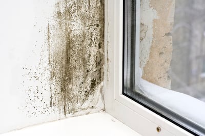 The government has been told 'transformative levels of investment and action' are needed to tackle widespread problems such as damp in Britain's homes. iStockphoto.com