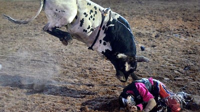 Bull Rider Matt Boland is struck by the bull after taking a fall during the PBR Bull Riding Competition at the Cunnamulla Fella Festival in Cunnamulla, Australia. Bradley Kanaris / Getty Images