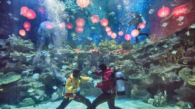 Scuba divers perform an underwater Kung Fu performance in connection with Chinese New Year at the 'Aquaria KLCC' aquarium, in Kuala Lumpur, Malaysia The 'Aquaria KLCC' is a 60,000 square foot oceanarium in the city centre of Kuala Lumpur and presents more than 5,000 aquatic and land-bound animals from Malaysia and around the world. Ahmad Yusni / EPA