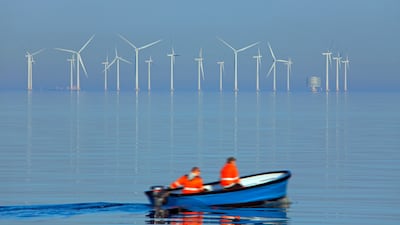 Turbines at Lillgrund, Sweden's largest offshore wind farm. The Swedish government has rejected new 13 sites. Arterra
