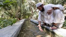 The Gulf is one of the most water-scarce regions in the world, with per capita natural water availability far below the global average. Chris Whiteoak / The National