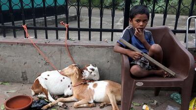 A boy sits next to qurbani goats during Eid Al Adha in India's capital New Delhi. EPA