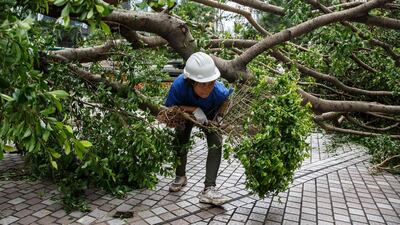 A worker clears up branches and leaves from fallen trees a day after Typhoon Mangkhut hit Hong Kong. AFP