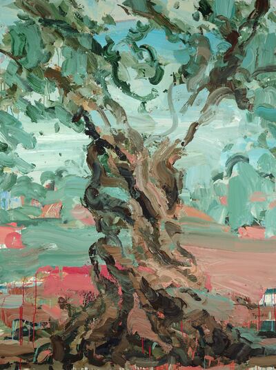 'The Tree Wihin, A Palestinian Olive Tree' series by Tagreed Darghouth