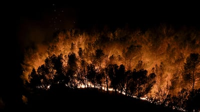 Trees burn during a fire in Martigues, France, July 18, 2025. REUTERS / Manon Cruz REFILE - QUALITY REPEAT