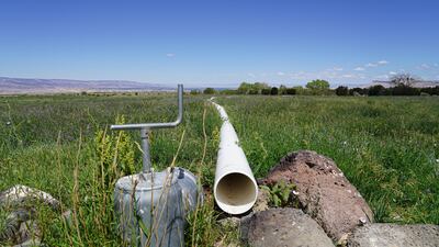 An untapped irrigation pipe at one of the tracts of land Janie VanWinkle and her family graze their cattle on.