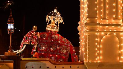 A decorated elephant, carrying the sacred golden casket housing the Buddha's tooth relic, takes part in celebrations to mark the Buddhist festival of Esala Perahera, in Kandy, Sri Lanka. AFP