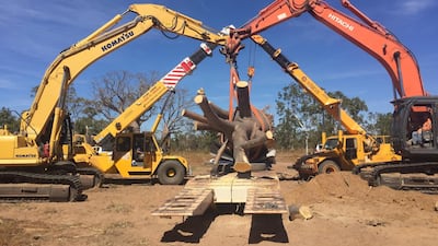 They were loaded using 14-tonne cranes. Photo: Cycad Enterprises