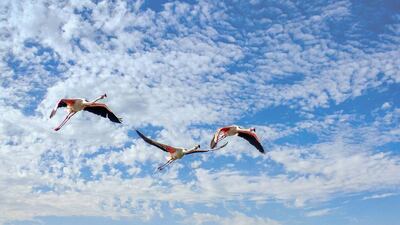 The winning photos were chosen by a jury comprising a group of journalists and photographers.