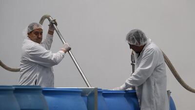 Workers pull chili paste from barrels at the Huy Fong Foods Sriracha Hot Chili Sauce factory. David McNew / Getty Images / AFP