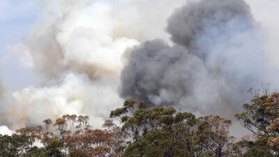 Smoke from bushfires rises in Penrose, in Australia's New South Wales state. AFP
