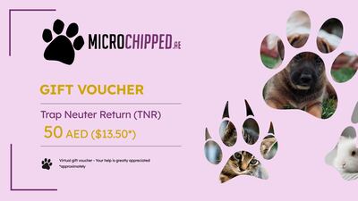 Gift voucher, Microchipped.ae. Photo: Microchipped
