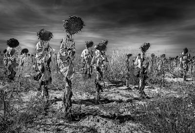 Vicente Ansola, Spain, Winner, Open competition, Landscape. Photo: the photographer and Sony World Photography Awards 2022