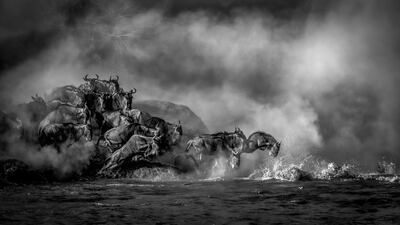Artur Stankiewicz from Poland won a silver in the Black and White category. He took a picture of Wildebeest at the Mara river crossing in Kenya