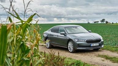 The fourth-generation Skoda Superb sedan offers 645 litres of luggage space, making it apt for families. Photo: Andrea Lhotakova