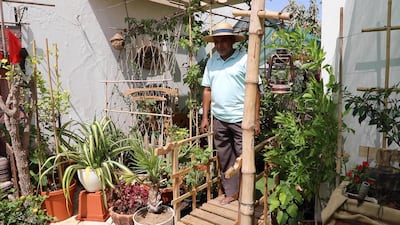 Shaju Jamaluddin on his Abu Dhabi terrace farm