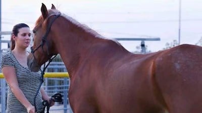 Selina Denman tries to 'whisper' to a horse at the Aayan stables. Razan Alzayani / The National