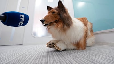 Toco being interviewed