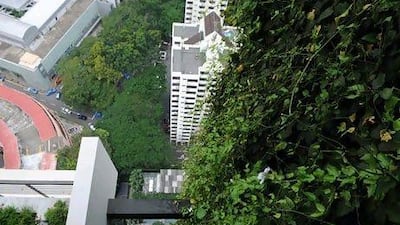 A view from the top of the Newton Suites condominium.