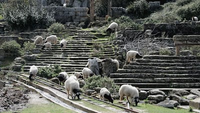 Tourists in the area are a rare sight.