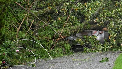 Another fallen tree landed on a car in Towson, Maryland. The Baltimore Sun / AP