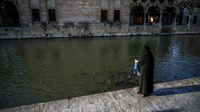 Most have temporary protection status, leaving them vulnerable to forced return