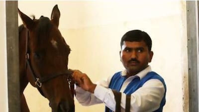 Narpath Singh, groomer to Mufarrh, has high hopes for his charge on Dubai World Cup night. Mufarrh will running in the Godolphin Mile.