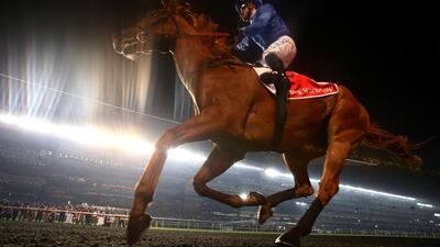 There was no stage fright under the bright lights for African Story and jockey Silvestre De Sousa in winning the Dubai World Cup. Warren Little / Getty Images