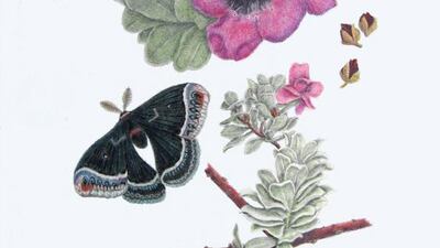 Kathleen Konicek-Moran for The National