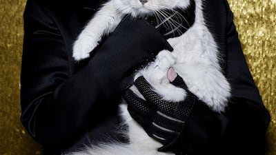 Choupette with her late owner, Karl Lagerfeld. Courtesy Choupette