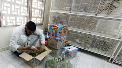 Readers call for closure of the animal market in Sharjah. Jeffrey E Biteng / The National