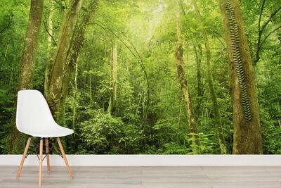 Repaint the walls or replace the wallpaper in the dining room. Courtesy Murals Wallpaper