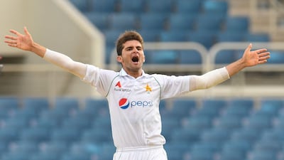 Shaheen Afridi - 10. Innings 4, Wickets 18, Best of 6-51. What more can you ask from the premier left-arm quick in the game? Afridi has mastered all conditions and Pakistan need to wrap him up in cotton wool. Took a 10-for to top it all. AFP