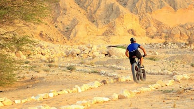 More than three kilometres of mountain biking tracks exist inside the park, filled with steep curves and small jumps, hills and obstacles.