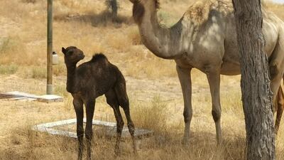 Lulu with her mother
