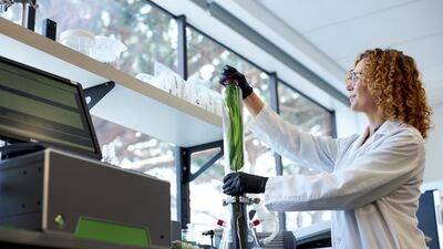 The UAE is benefitting from a huge influx of expat talent over the past 12 months. Reuters