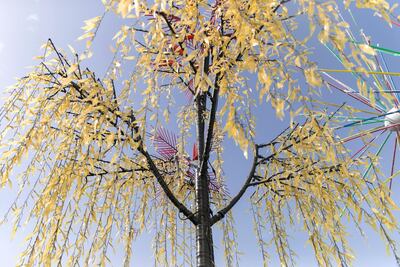 The botanical light garden. Photo: Reem Mohammed / The National