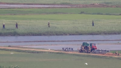 North Koreans work on a rice field in Pyongyang's propaganda village of Kaepoong. Reuters