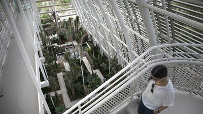 The Shade House houses a collection of more than 30 tropical palm and shrub species. Silvia Razgova / The National