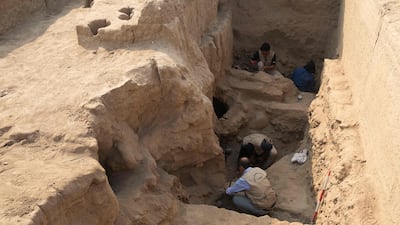 Bones from animal offerings were also found in the trader's tomb. AFP