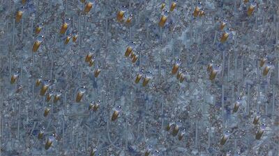 Kim Tschang-Yeul, Recurrence. Courtesy of Park Ryu Sook Gallery, Seoul