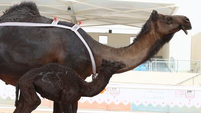 Organisers were on alert to combat tampering, which includes the use of Botox.