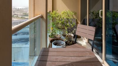 Plants growing on the balcony