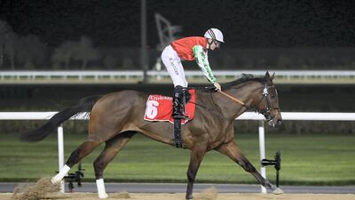 North America, ridden by Richard Mullen, will be one of the horses to watch at the Dubai World Cup night. Pawan Singh / The National