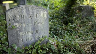 The gravestone of 'Poor Alphie', a dog seemingly 'faithful to the end'.