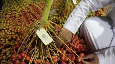 Farmers are aiming to win their share of an Dh8 million prize fund