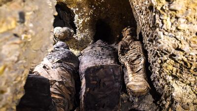 Newly-discovered mummies, wrapped in linen, were found in burial chambers at the necropolis of Tuna el-Gebel, Egypt. AFP