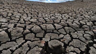 La Concepcion reservoir, which supplies 30 per cent of the Honduran capital of Tegucigalpa, during a severe drought caused by climate change. AFP